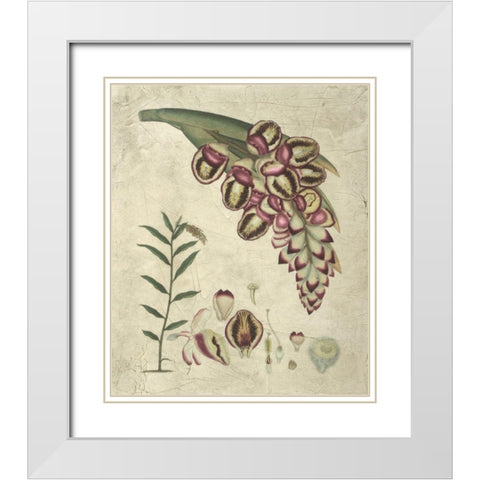 Aubergine Florals II White Modern Wood Framed Art Print with Double Matting by Vision Studio