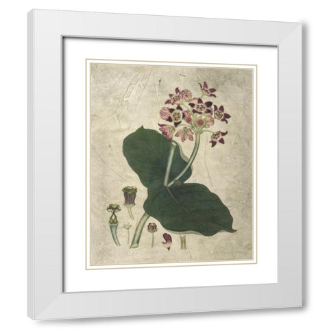 Aubergine Florals III White Modern Wood Framed Art Print with Double Matting by Vision Studio
