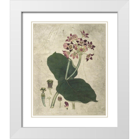 Aubergine Florals III White Modern Wood Framed Art Print with Double Matting by Vision Studio