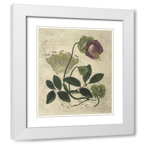 Aubergine Florals IV White Modern Wood Framed Art Print with Double Matting by Vision Studio