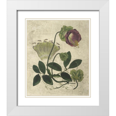 Aubergine Florals IV White Modern Wood Framed Art Print with Double Matting by Vision Studio