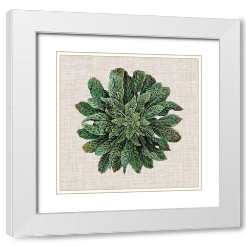 Spherical Leaves I White Modern Wood Framed Art Print with Double Matting by Vision Studio