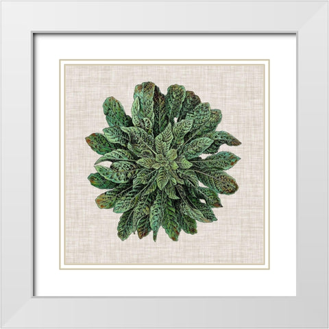 Spherical Leaves I White Modern Wood Framed Art Print with Double Matting by Vision Studio