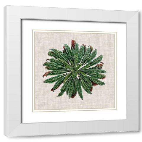 Spherical Leaves II White Modern Wood Framed Art Print with Double Matting by Vision Studio