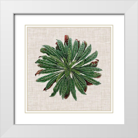 Spherical Leaves II White Modern Wood Framed Art Print with Double Matting by Vision Studio