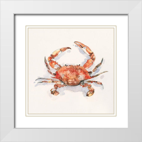 Crusty Crab I White Modern Wood Framed Art Print with Double Matting by Caroline, Emma