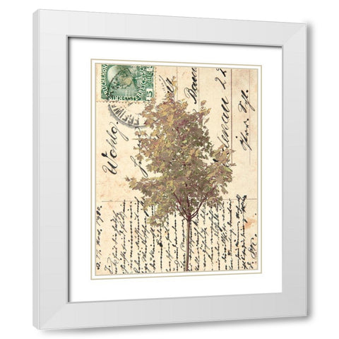 In Good Spirits II White Modern Wood Framed Art Print with Double Matting by Saunders, Alonzo