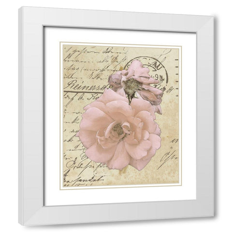 Wishing You Well II White Modern Wood Framed Art Print with Double Matting by Saunders, Alonzo