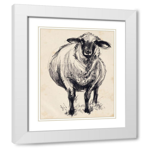 Charcoal Sheep II White Modern Wood Framed Art Print with Double Matting by Parker, Jennifer Paxton