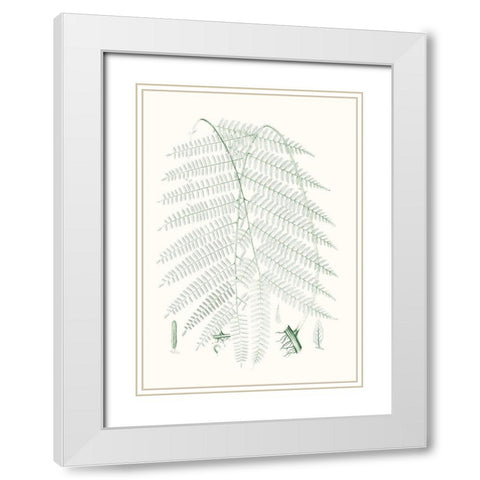 Verdure Ferns I White Modern Wood Framed Art Print with Double Matting by Vision Studio