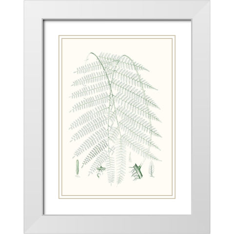 Verdure Ferns I White Modern Wood Framed Art Print with Double Matting by Vision Studio