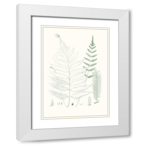 Verdure Ferns II White Modern Wood Framed Art Print with Double Matting by Vision Studio