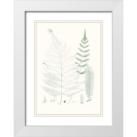 Verdure Ferns II White Modern Wood Framed Art Print with Double Matting by Vision Studio