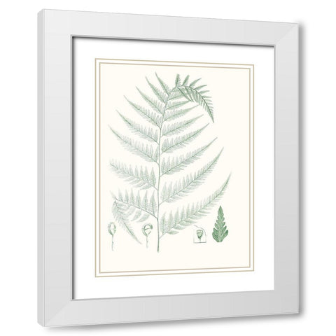 Verdure Ferns III White Modern Wood Framed Art Print with Double Matting by Vision Studio