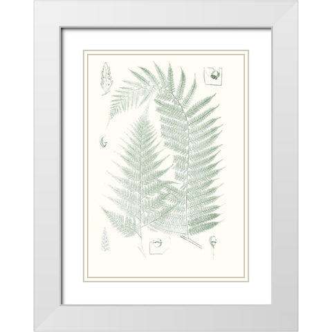 Verdure Ferns IV White Modern Wood Framed Art Print with Double Matting by Vision Studio