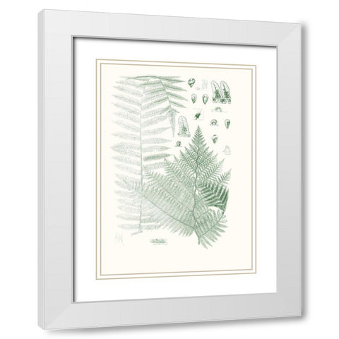 Verdure Ferns V White Modern Wood Framed Art Print with Double Matting by Vision Studio