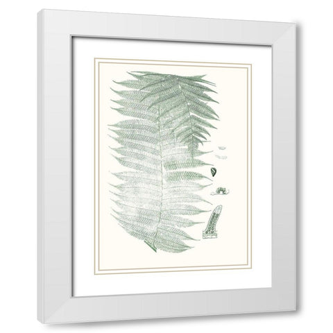 Verdure Ferns VI White Modern Wood Framed Art Print with Double Matting by Vision Studio