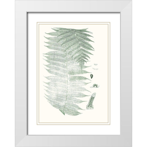 Verdure Ferns VI White Modern Wood Framed Art Print with Double Matting by Vision Studio