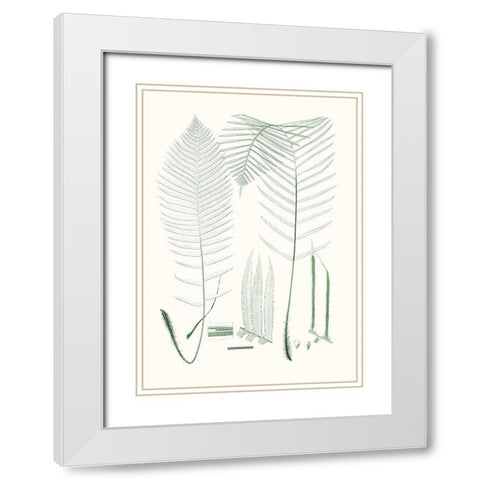 Verdure Ferns VII White Modern Wood Framed Art Print with Double Matting by Vision Studio