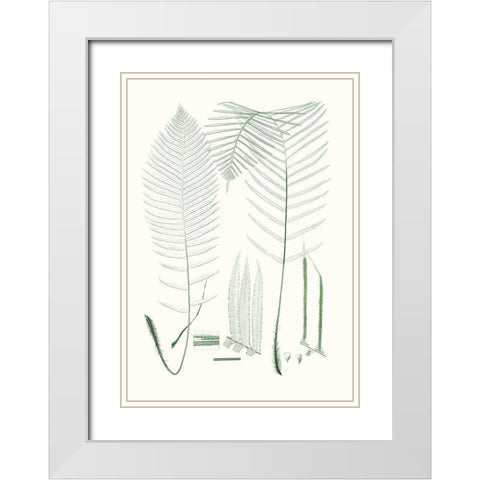 Verdure Ferns VII White Modern Wood Framed Art Print with Double Matting by Vision Studio