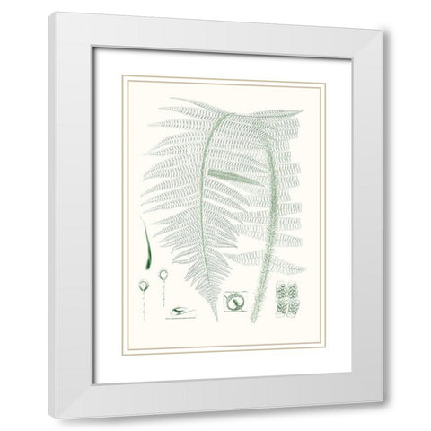 Verdure Ferns IX White Modern Wood Framed Art Print with Double Matting by Vision Studio