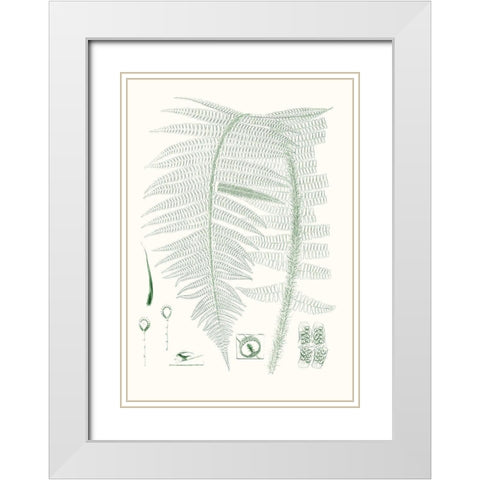 Verdure Ferns IX White Modern Wood Framed Art Print with Double Matting by Vision Studio