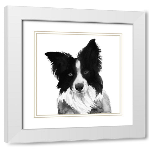 Border Collie I White Modern Wood Framed Art Print with Double Matting by Popp, Grace