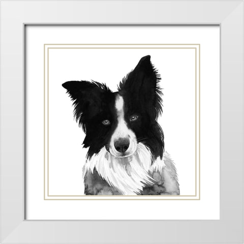 Border Collie I White Modern Wood Framed Art Print with Double Matting by Popp, Grace