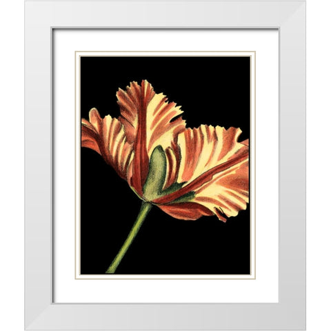 Vibrant Tulips I White Modern Wood Framed Art Print with Double Matting by Harper, Ethan