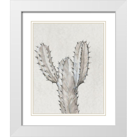 Cactus Study II White Modern Wood Framed Art Print with Double Matting by OToole, Tim