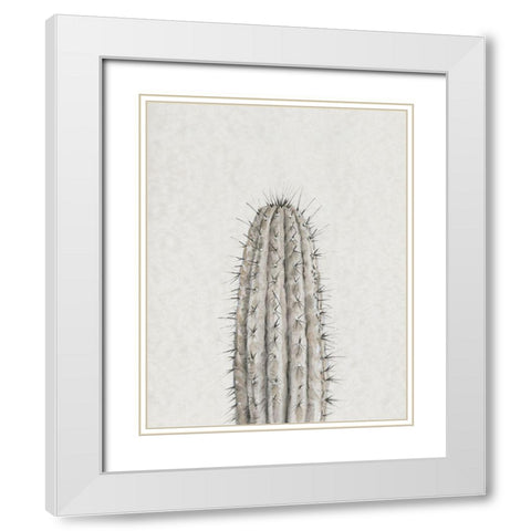 Cactus Study III White Modern Wood Framed Art Print with Double Matting by OToole, Tim