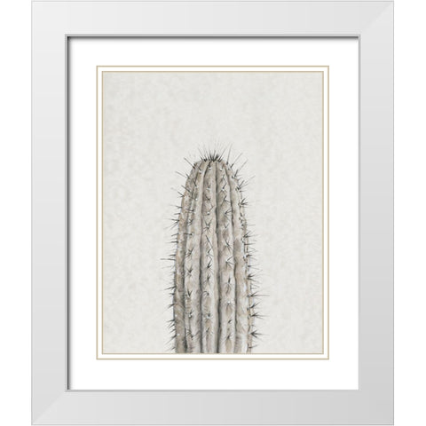 Cactus Study III White Modern Wood Framed Art Print with Double Matting by OToole, Tim