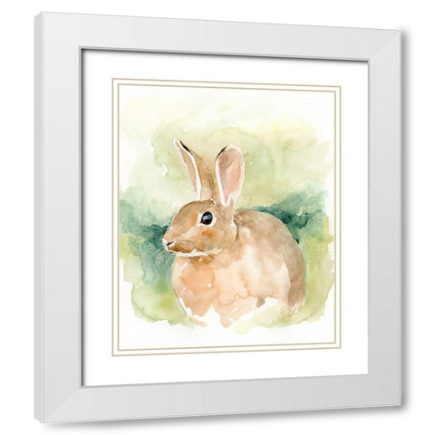 Field Bunny II White Modern Wood Framed Art Print with Double Matting by Barnes, Victoria