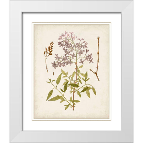 Vintage Flowering Trees I White Modern Wood Framed Art Print with Double Matting by Unknown