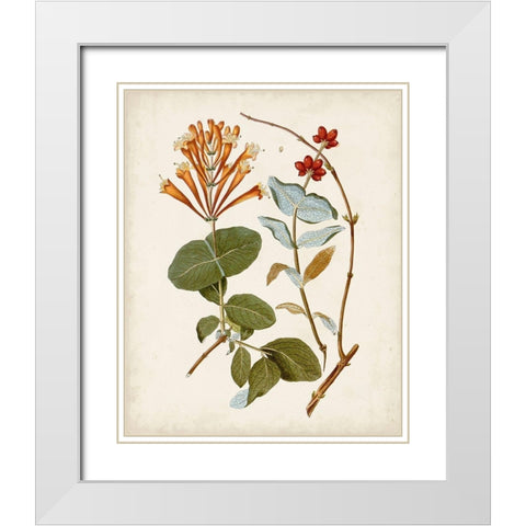 Vintage Flowering Trees IV White Modern Wood Framed Art Print with Double Matting by Unknown
