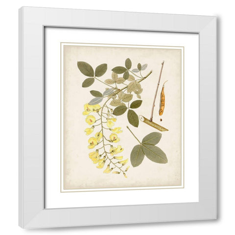 Vintage Flowering Trees VII White Modern Wood Framed Art Print with Double Matting by Unknown