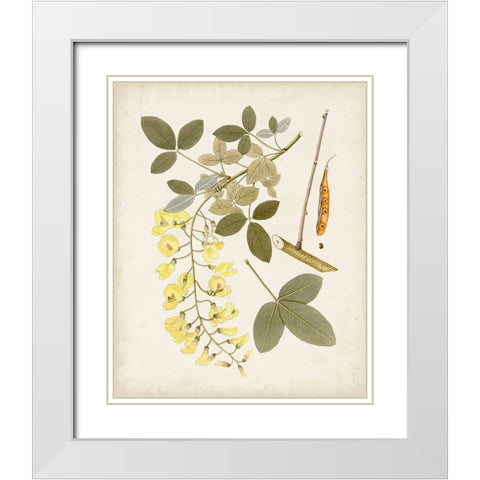 Vintage Flowering Trees VII White Modern Wood Framed Art Print with Double Matting by Unknown
