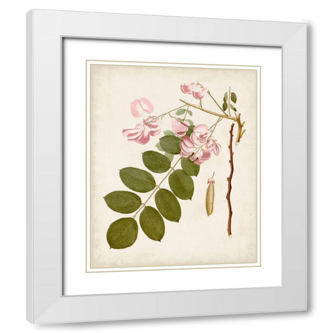Vintage Flowering Trees VIII White Modern Wood Framed Art Print with Double Matting by Unknown