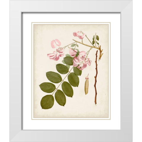 Vintage Flowering Trees VIII White Modern Wood Framed Art Print with Double Matting by Unknown