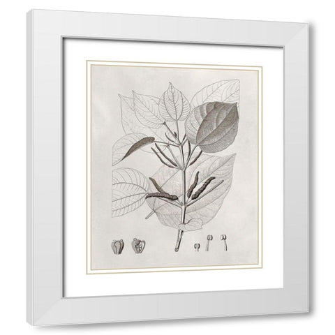 Vintage Leaves III White Modern Wood Framed Art Print with Double Matting by Vision Studio