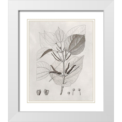 Vintage Leaves III White Modern Wood Framed Art Print with Double Matting by Vision Studio