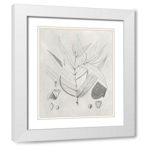 Vintage Leaves IV White Modern Wood Framed Art Print with Double Matting by Vision Studio