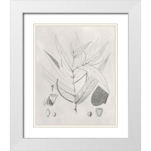 Vintage Leaves IV White Modern Wood Framed Art Print with Double Matting by Vision Studio