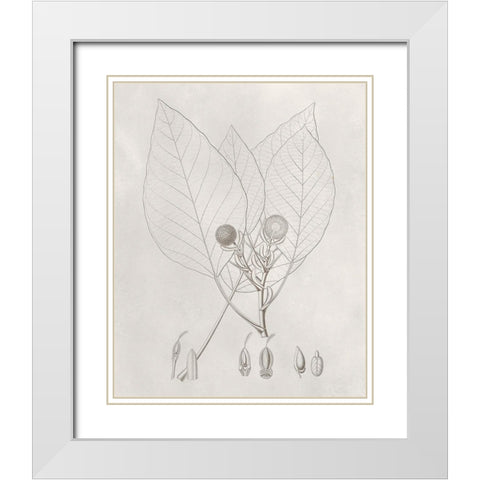 Vintage Leaves V White Modern Wood Framed Art Print with Double Matting by Vision Studio