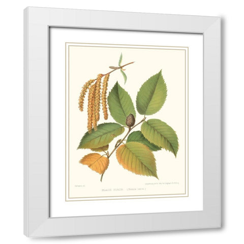 Non-embellished Black Birch White Modern Wood Framed Art Print with Double Matting by Sprague