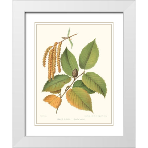 Non-embellished Black Birch White Modern Wood Framed Art Print with Double Matting by Sprague