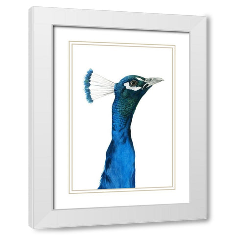 Peacock Portrait I White Modern Wood Framed Art Print with Double Matting by Popp, Grace