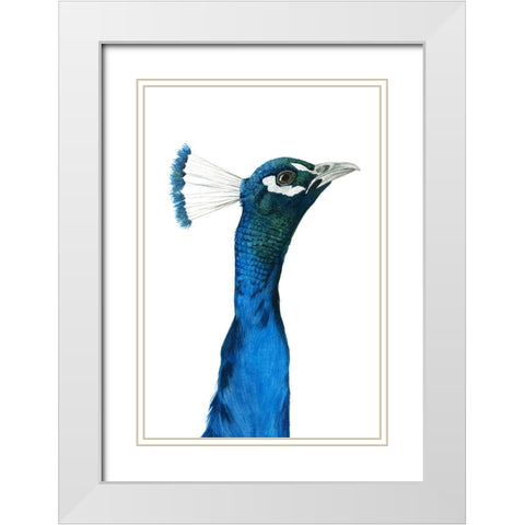 Peacock Portrait I White Modern Wood Framed Art Print with Double Matting by Popp, Grace