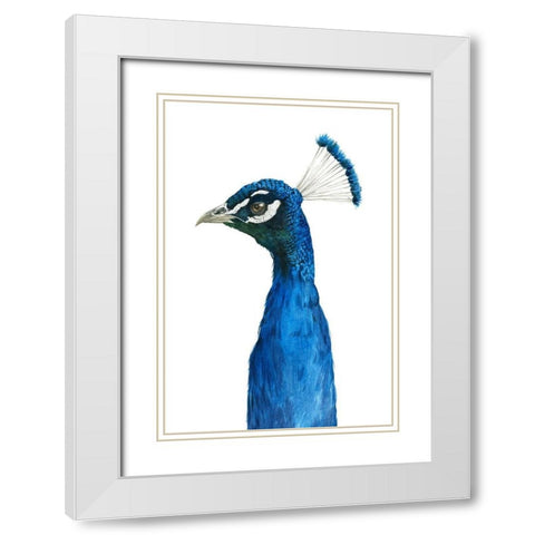 Peacock Portrait II White Modern Wood Framed Art Print with Double Matting by Popp, Grace