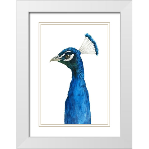 Peacock Portrait II White Modern Wood Framed Art Print with Double Matting by Popp, Grace